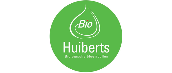 huiberts-bloembollen