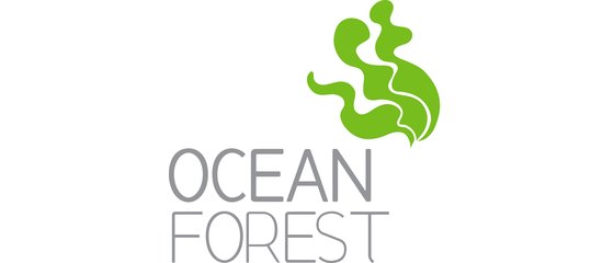 ocean-forest