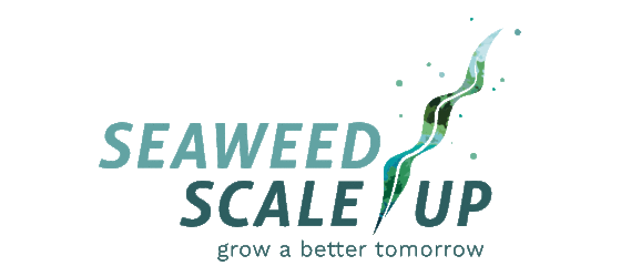seaweed-scale-up