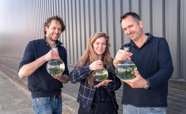 seaweedtech